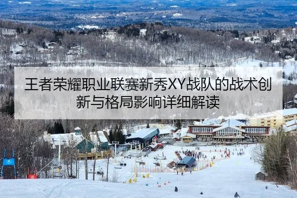wang-zhe-rong-yao-zhi-ye-lian-sai-xin-xiu-zhan-dui-de-zhan-shu-chuang-xin-yu-ge-ju-ying-xiang-xiang-xi-jie-du-2-610.jpg